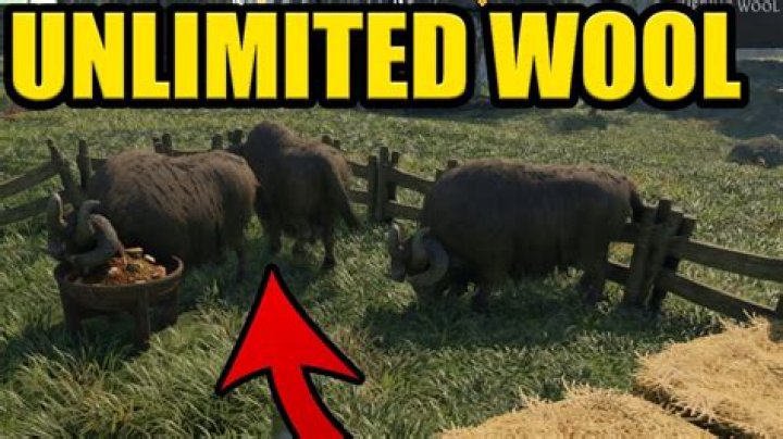 How expensive is yak wool?