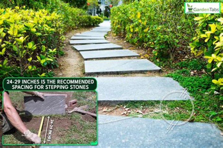 How far apart should concrete cuts be?