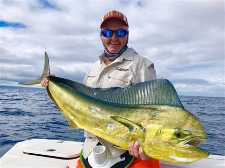 How far offshore do you have to go to catch mahi?