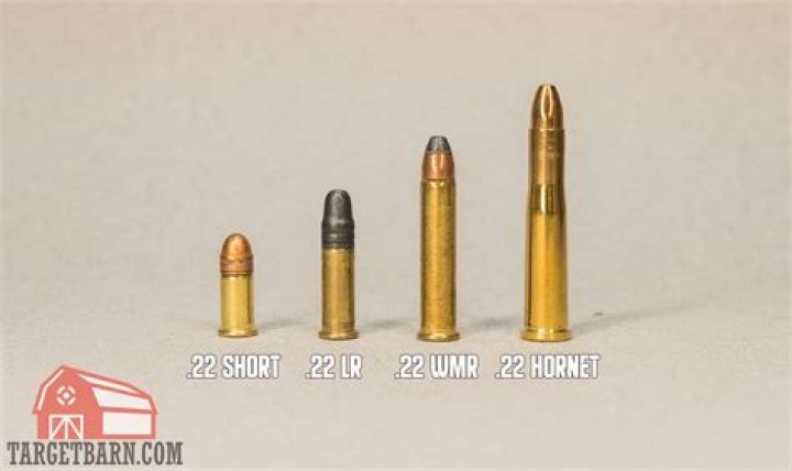 How far will a .22 Short travel?