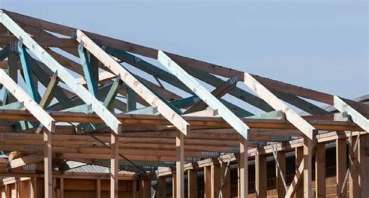 How far will a rat travel to get back to its nest?