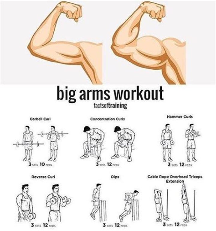 How fast do arms grow?