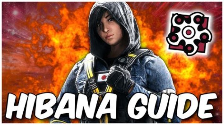 How good is Hibana?
