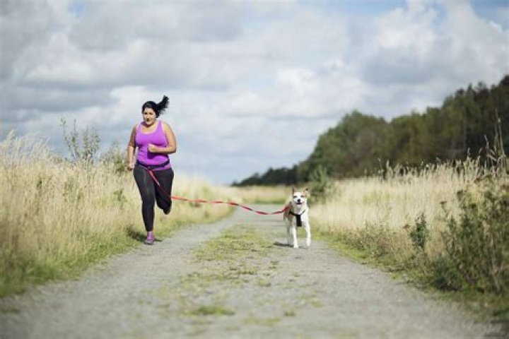 How long can a dog run without stopping?