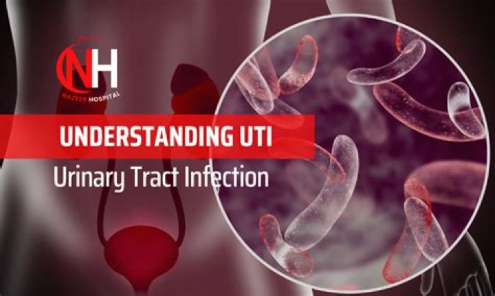 How long can a UTI last untreated?