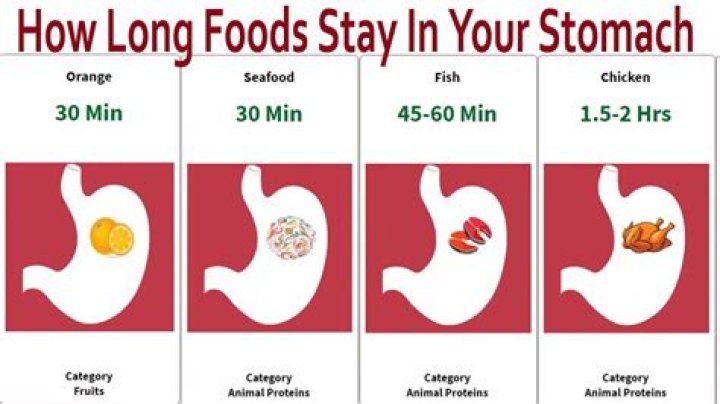 How long can mold stay in your body?