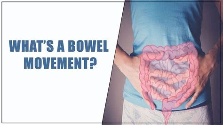 How long can you go without bowel movement?