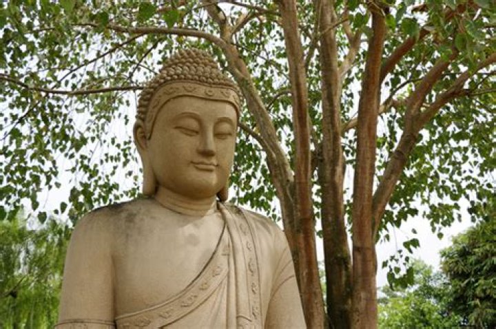 How long did Buddha meditate?