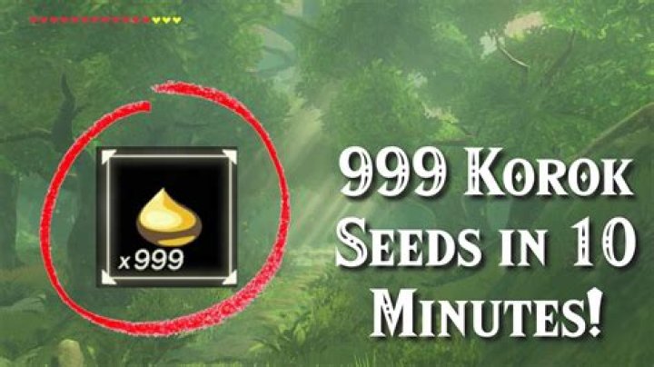How long do 900 Korok Seeds take?