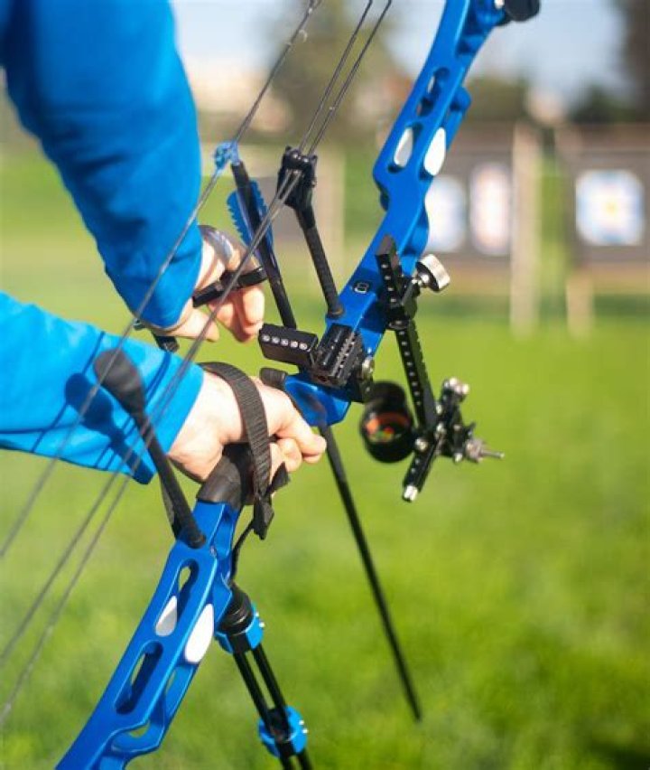 How long do crossbow limbs last?