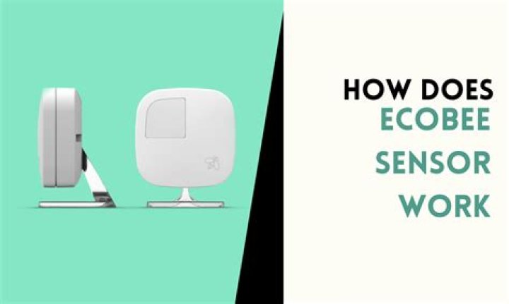 How long do ecobee sensors last?