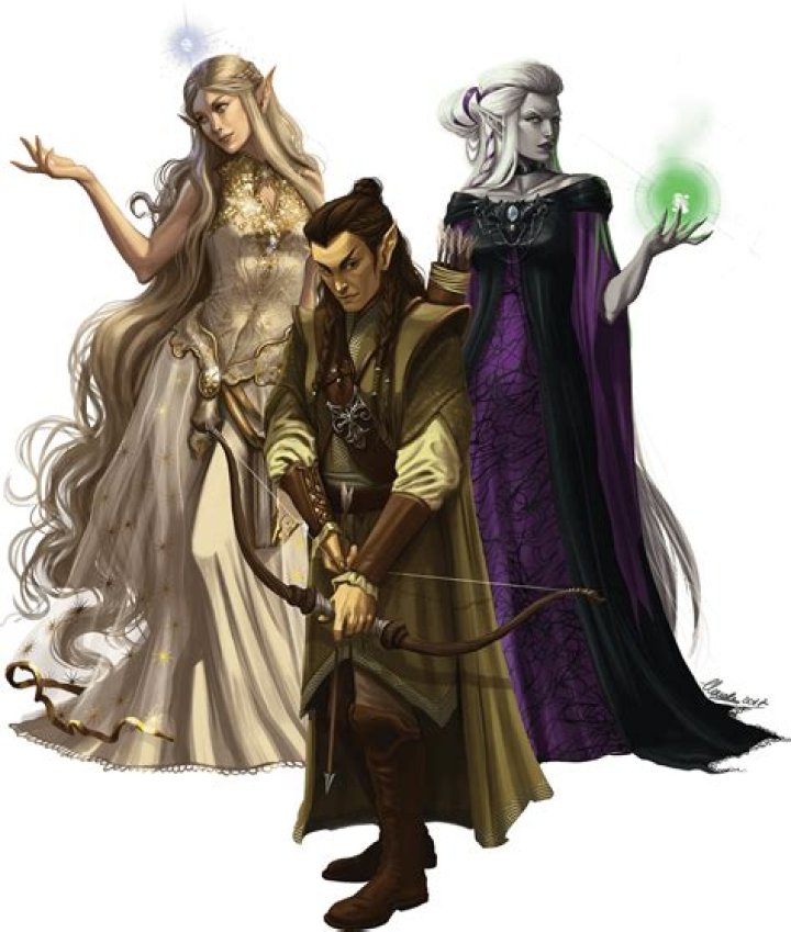 How long do high elves live wow?