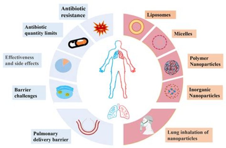 How long do IV antibiotics take to work for sepsis?