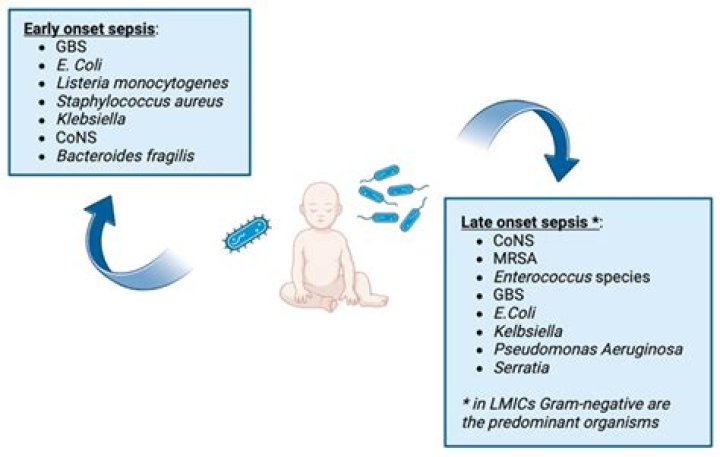 How long do you take IV antibiotics for sepsis?