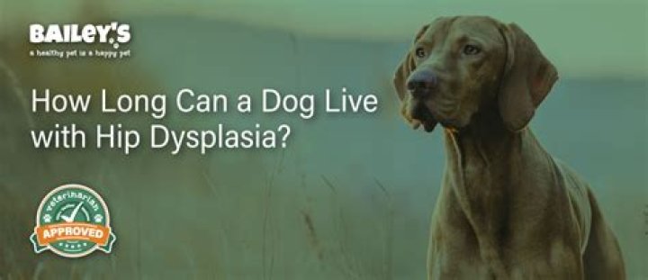 How long does a dog live with rabies?