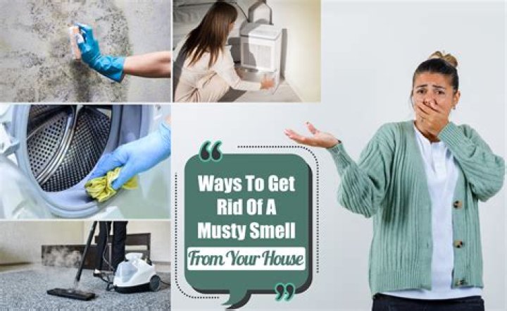 How long does it take for a dehumidifier to get rid of the musty smell?