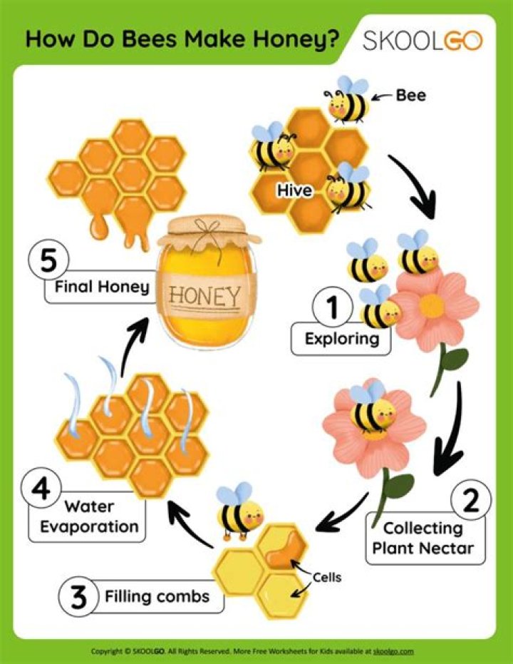 How long does it take for bees to go away?