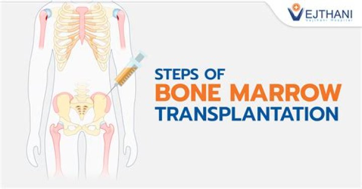 How long does it take for bone marrow to recover after chemotherapy?