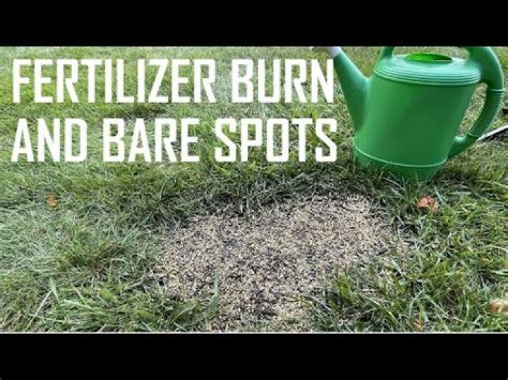 How long does it take for fertilizer burn to show?