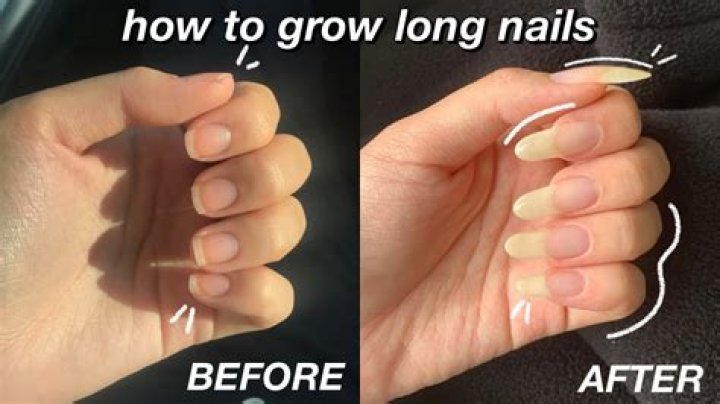 How long does it take for nails to grow after biting?