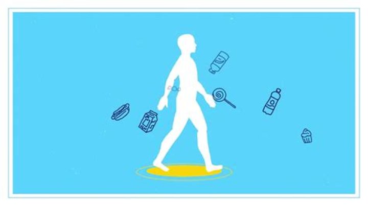 How long does it take for sugar to turn into fat?