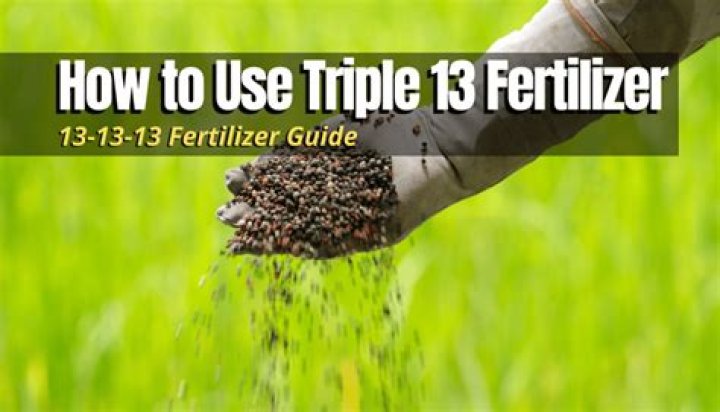 How long does it take for triple 13 fertilizer to work?