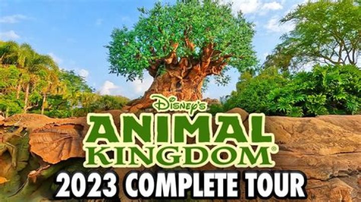 How long does it take to get to Animal Kingdom from Fort Wilderness?