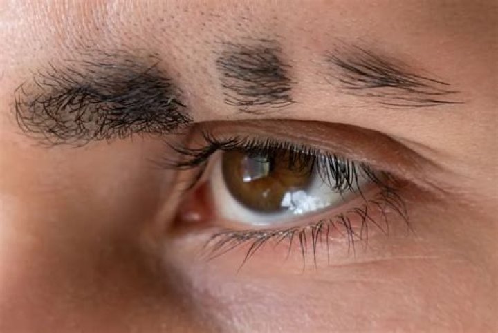 How long does it take to grow eyebrows with castor oil?