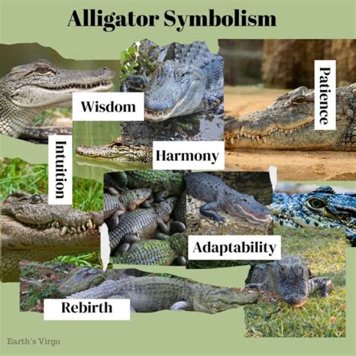 How long has Hyperfund been around?