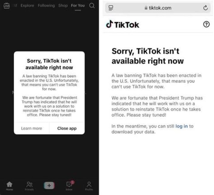 How long has TikTok been out?