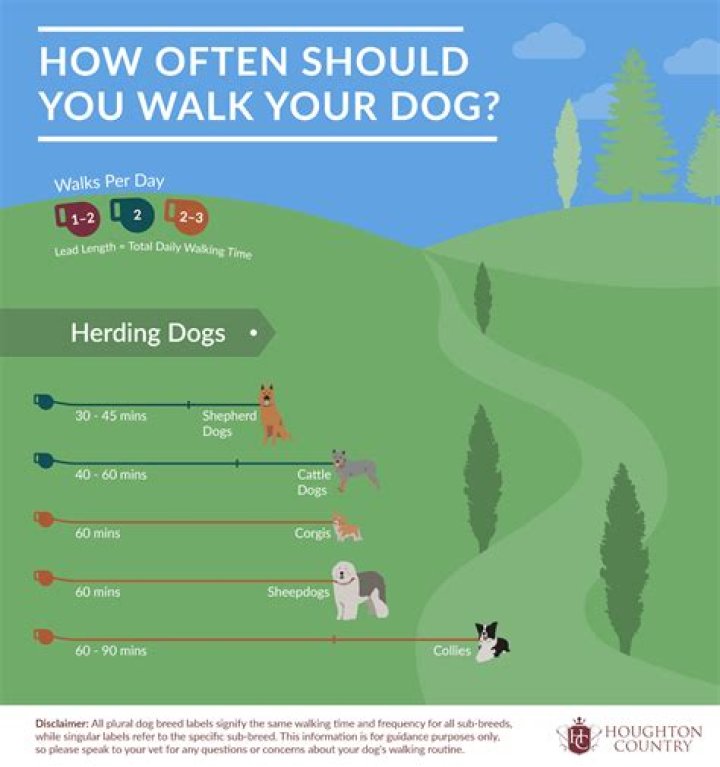 How long is too long not to walk a dog?