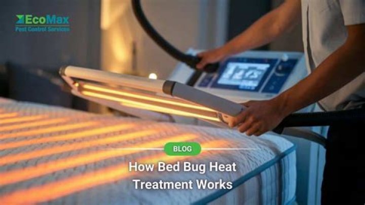 How long should I wait to vacuum after treating for bed bugs?