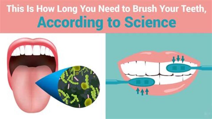 How long should you brush your teeth for?