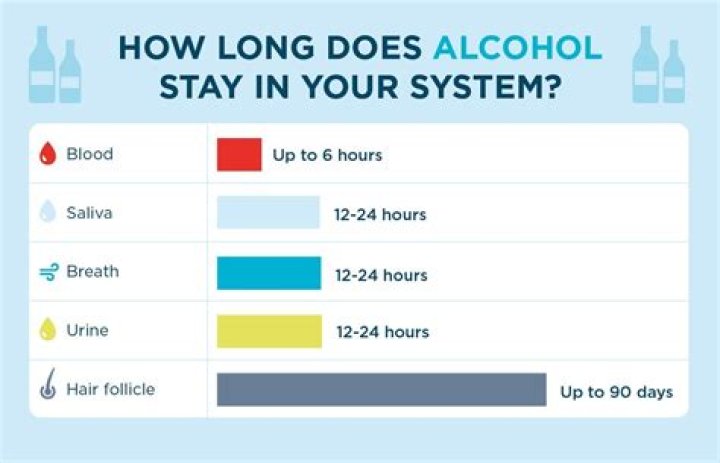How long until wine is out of your system?