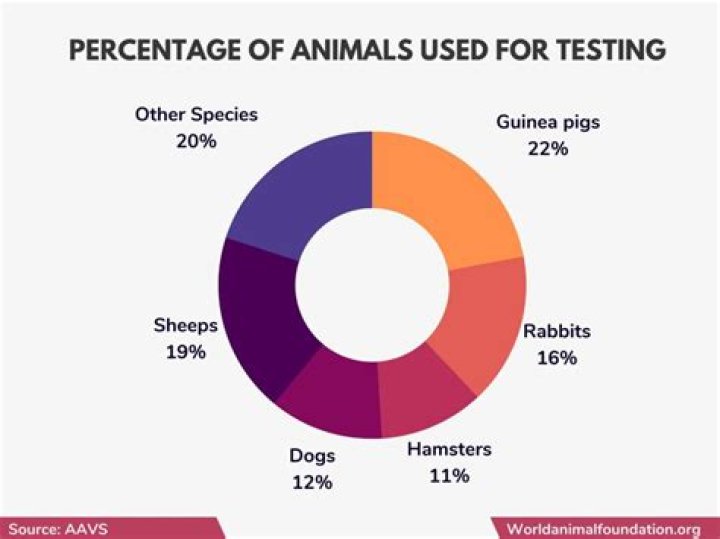 How many animals are killed a year due to animal testing?