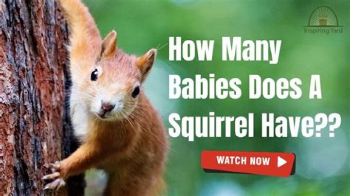 How many babies does Carl have?