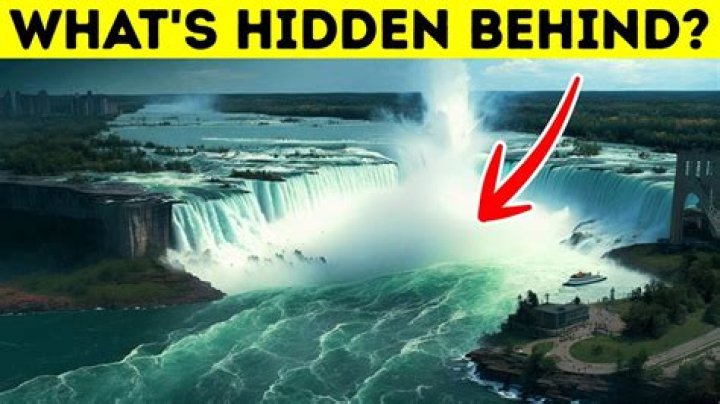 How many bodies were found when they drained Niagara Falls?