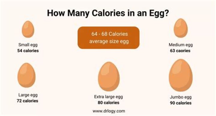 How many calories is starvation?