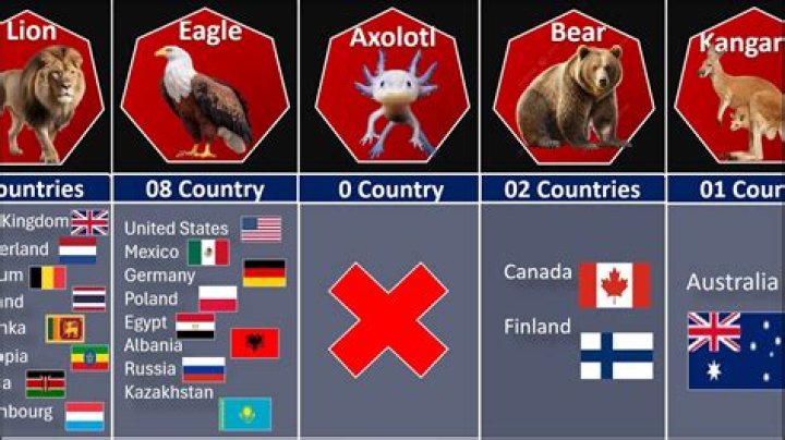 How many countries have same national animal?
