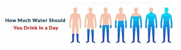 How many cups of water should you drink a day for weight loss?