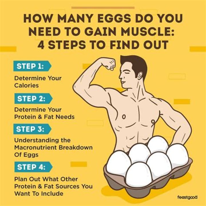 How many eggs a day for weight gain?