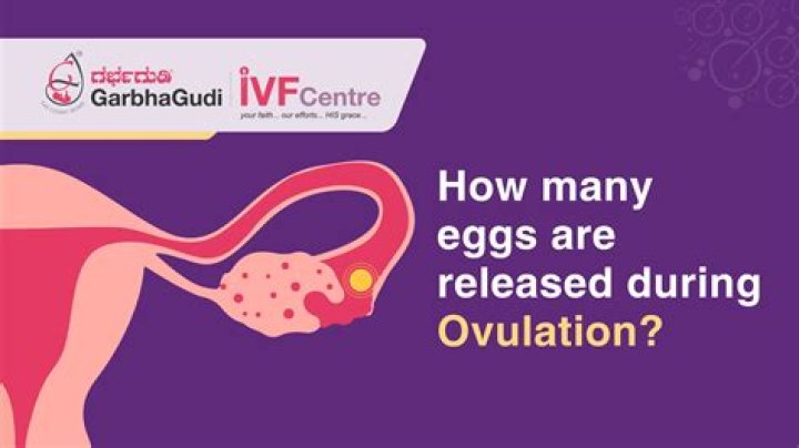 How many eggs does Favaucana?
