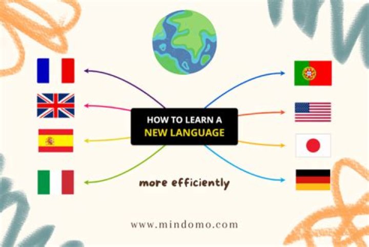 How many hours do you need to learn a language?