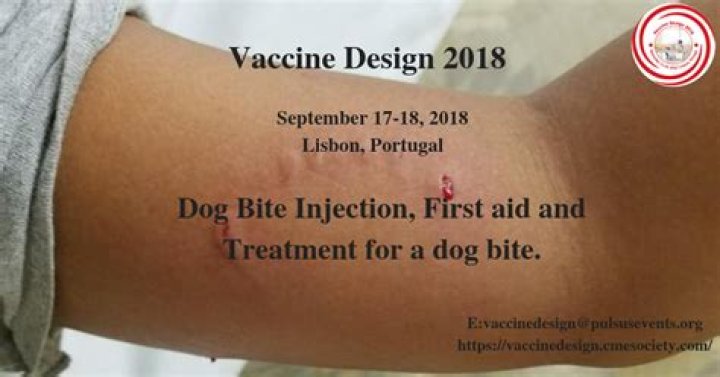 How many injections are needed for dog bite?