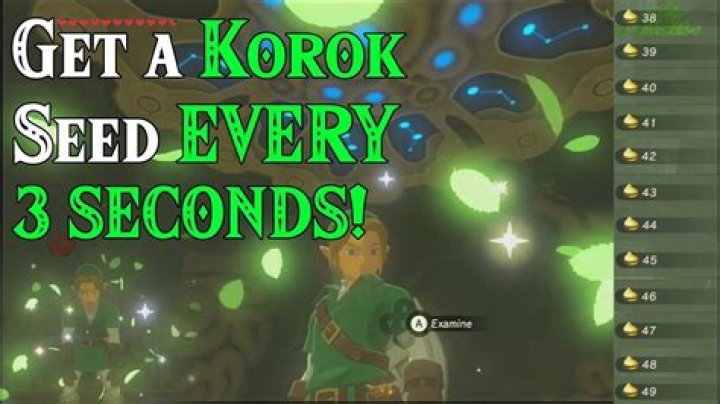 How many Korok seeds do you need to max out your inventory?