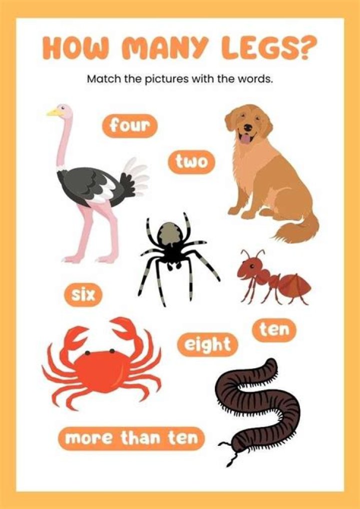 How many legs Mothra have?