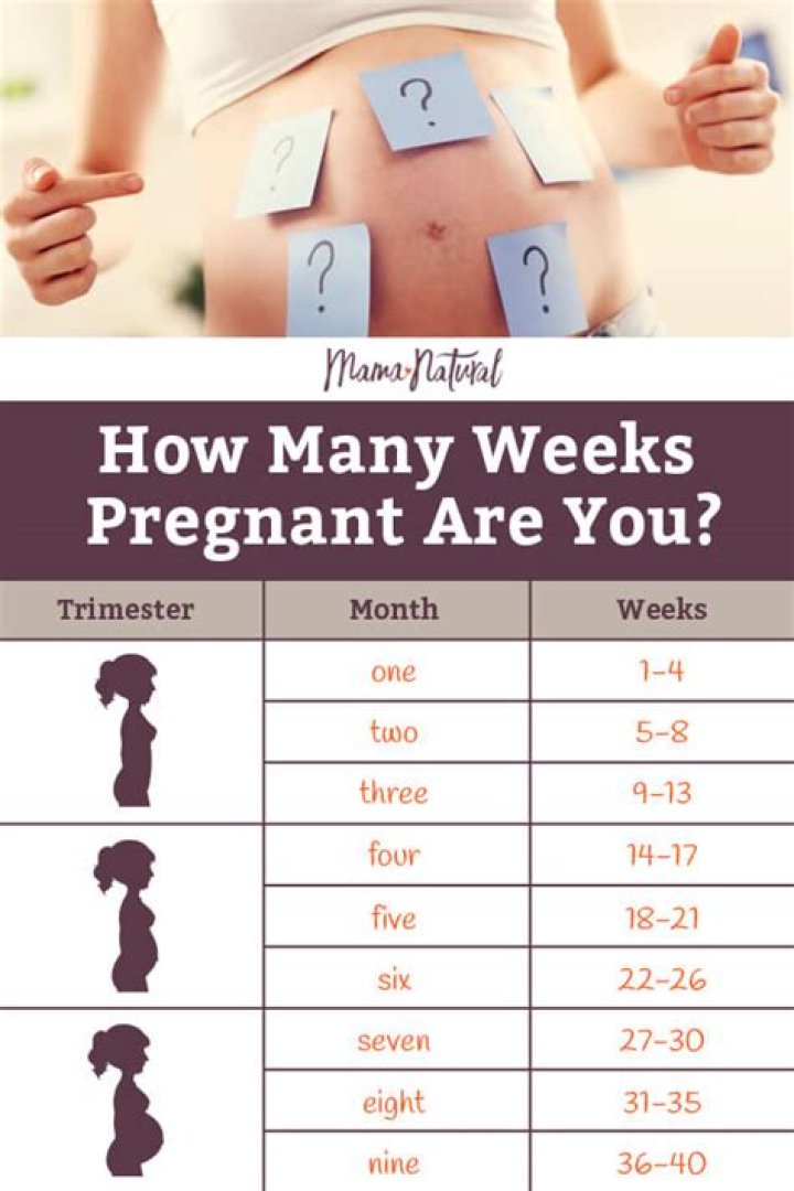 How many months is 14 weeks pregnant?