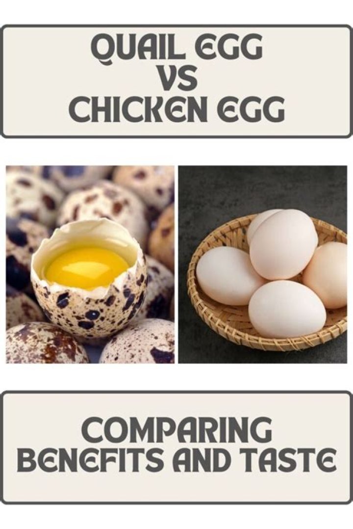 How many quail eggs equal a chicken egg?