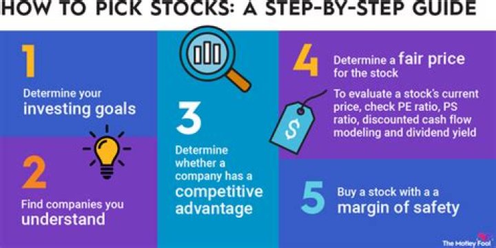 How many stocks should I own as a beginner?