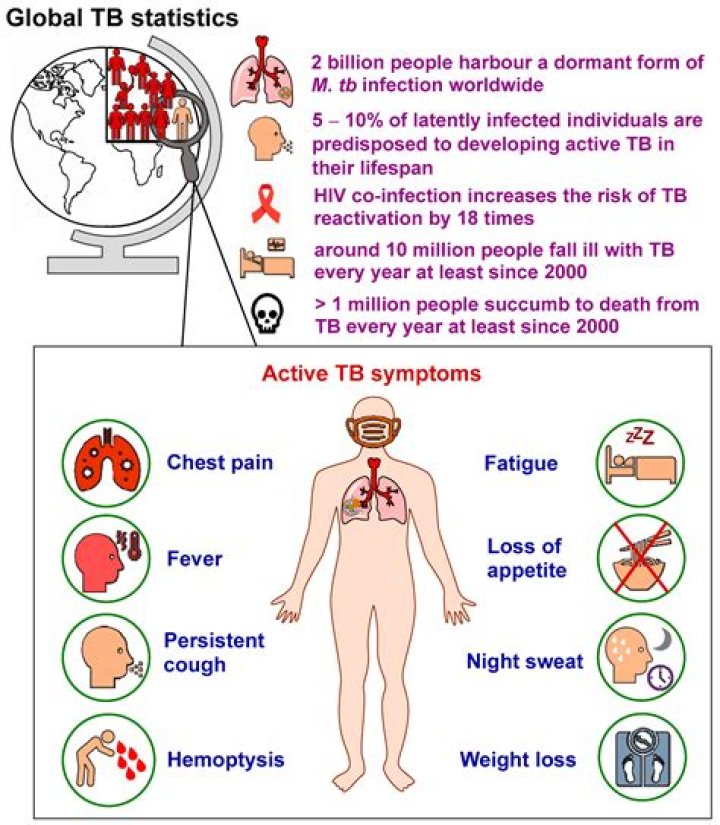 How many TB is your brain?